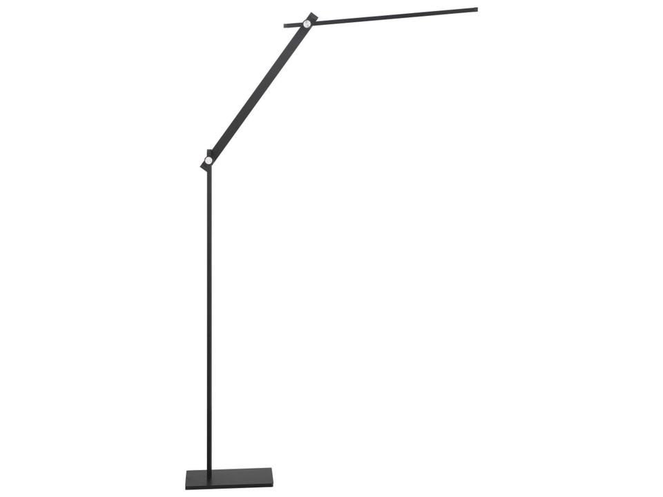 Task Portables Anodized Brushed Coal Black Floor Lamp