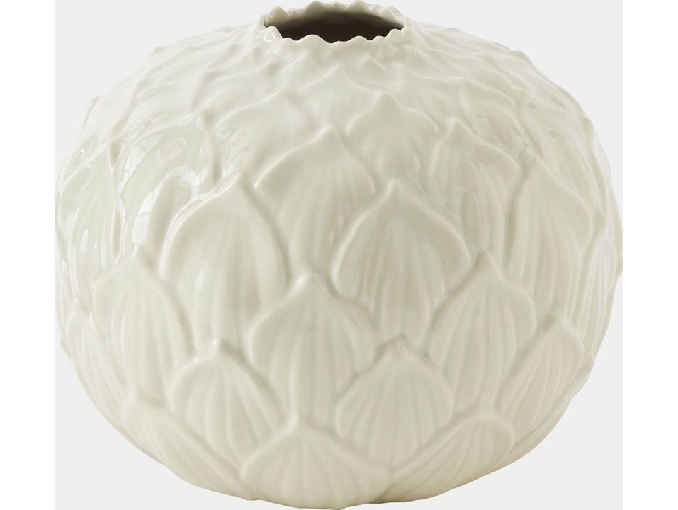 Cabbage