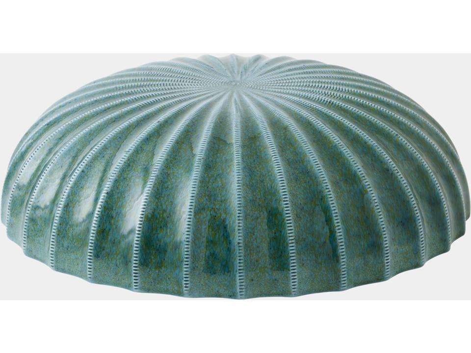 Urchin