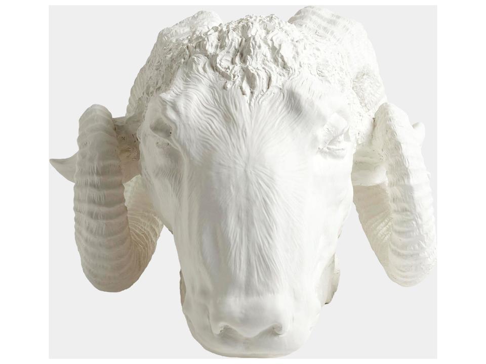 Capricorn