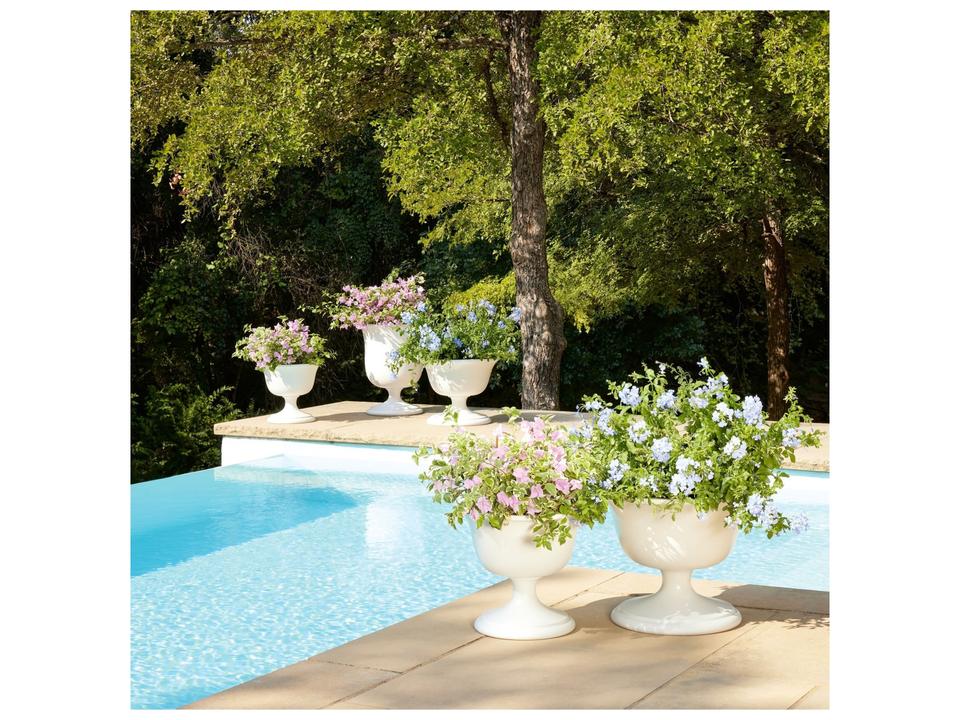 Villa Chalice
