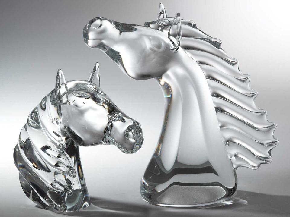 Thoroughbred Horse Head