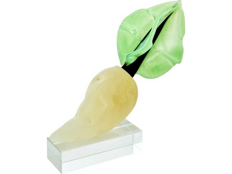 Sugar Beet
