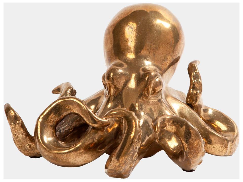 Octopus