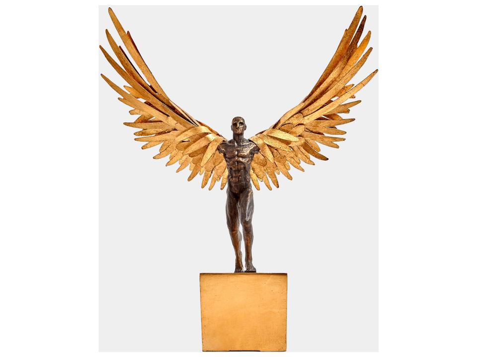 Avian Man
