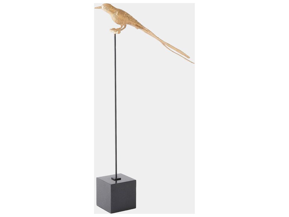 Perched Swallow