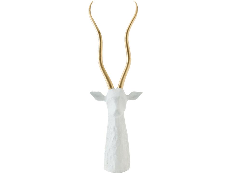 Antelope