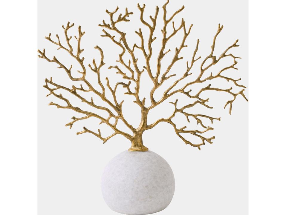 Sea Fan