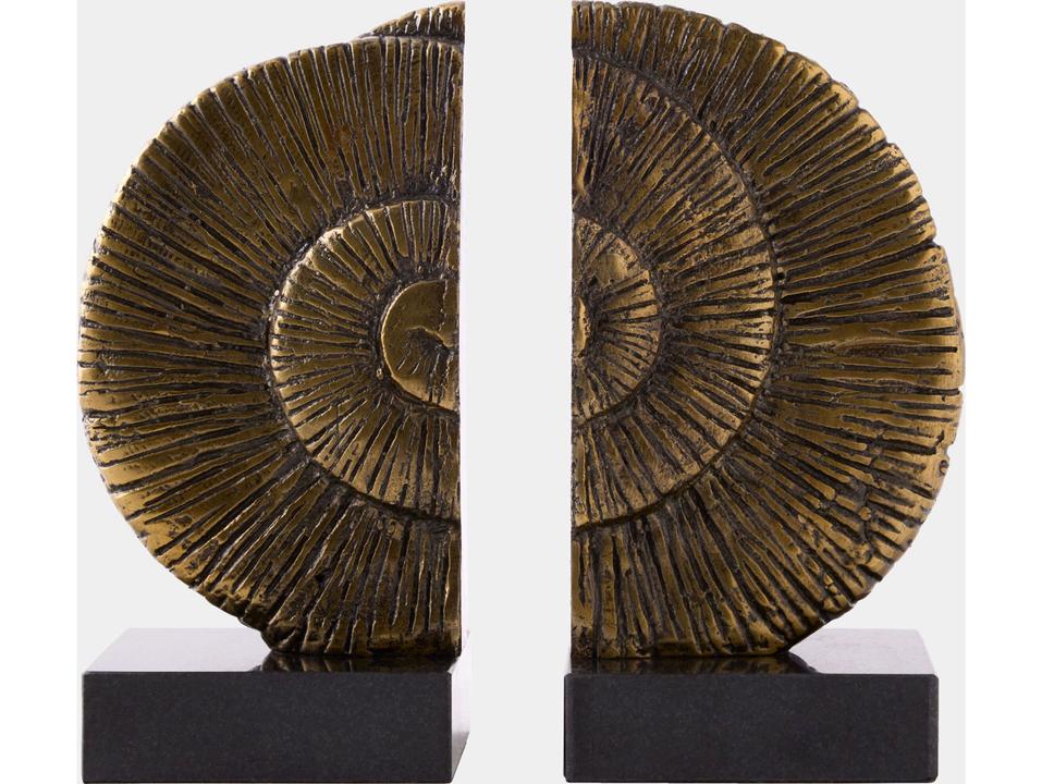 Ammonite Honed Bookend