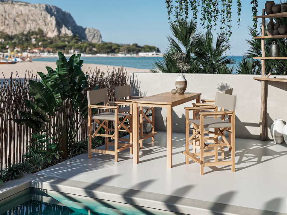 Director Wood Taupe Teak Dining Set