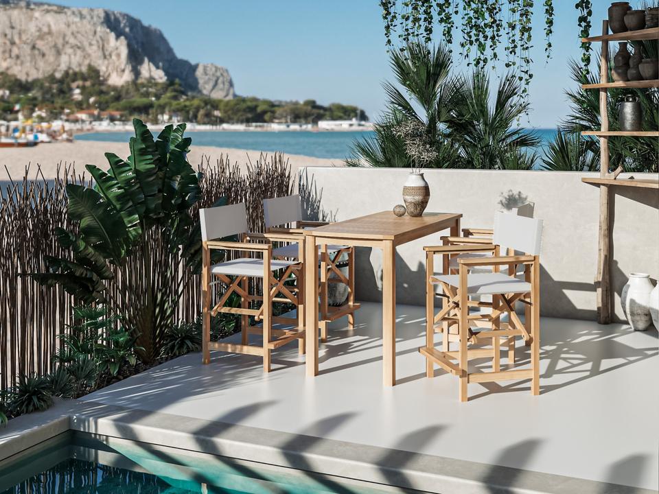 Director Wood White Teak Dining Set