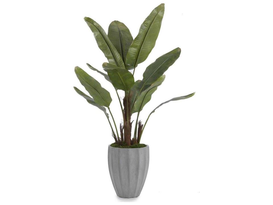 New Banana Tree Decorative Plant in Grey Ceramic Container