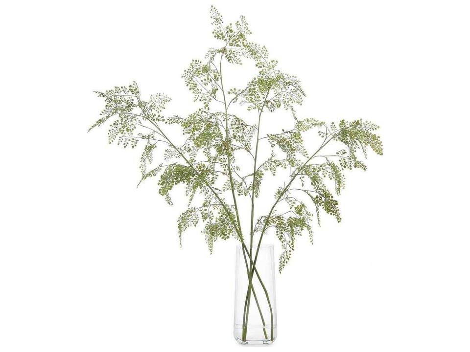 Aqua Fern Botanical in Faux Water