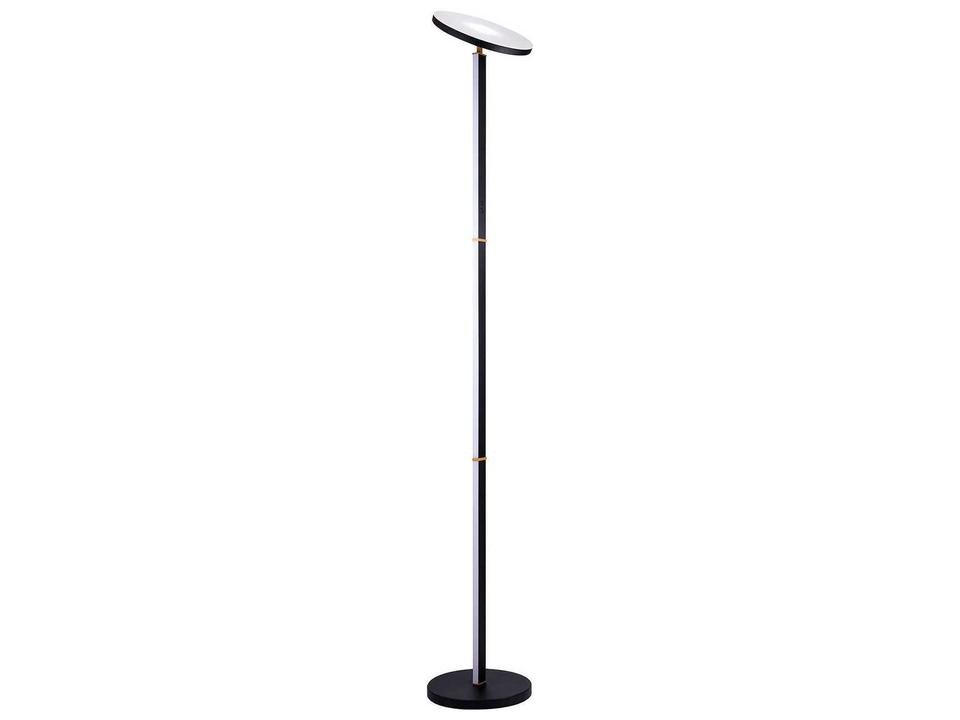 Plex Black Brass Floor Lamp