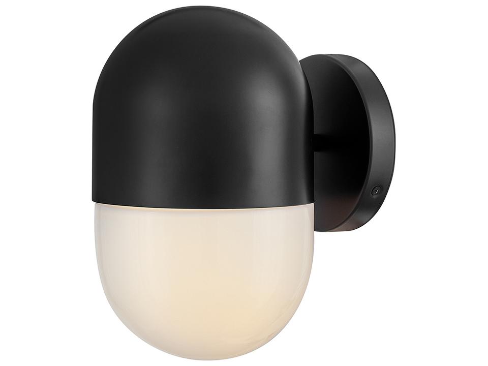 Bardi 1-Light Outdoor Wall Lantern in Black