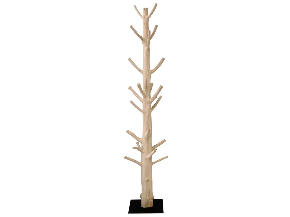Mangosteen Tree Floor Coat Rack with Iron Stand