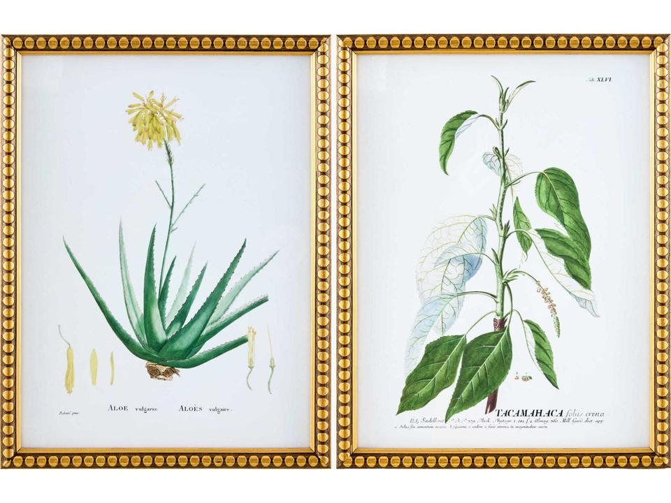 Midsummer Framed Art