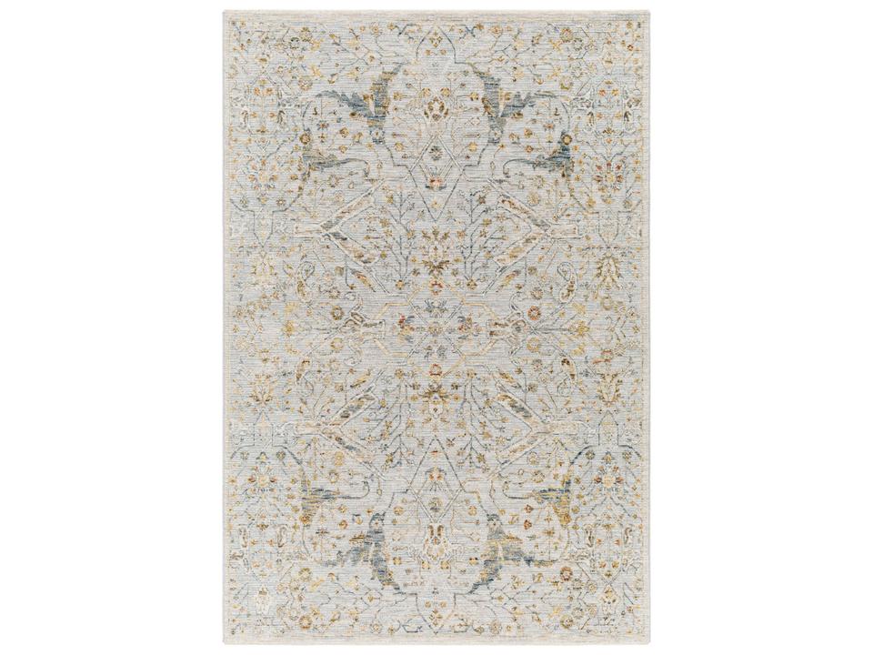 Reina Traditional Machine Woven Area Rug in Multi