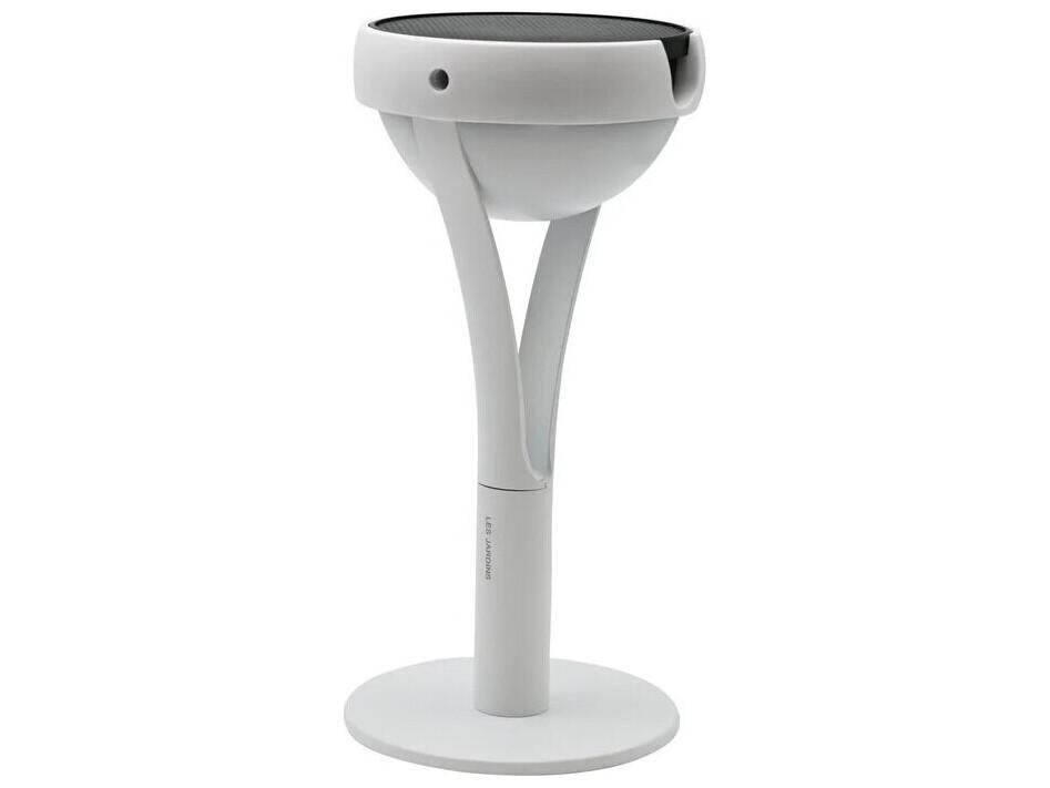 Tish 3-Light Outdoor Path Light