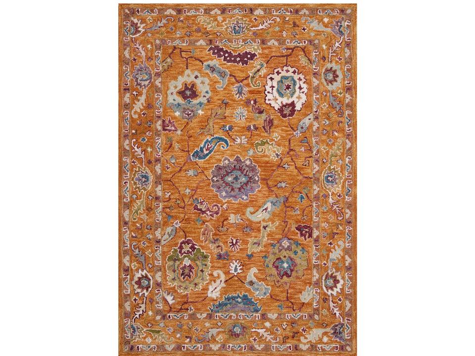 Padma Collection Area Rug in Orange Multi