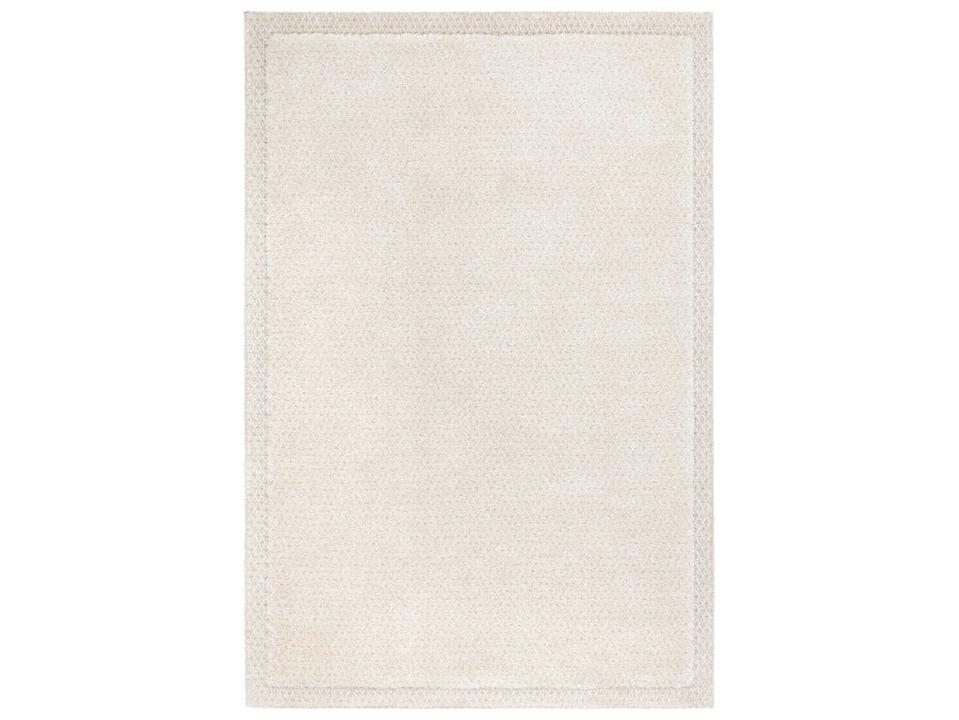 Cloud Bordered Area Rug