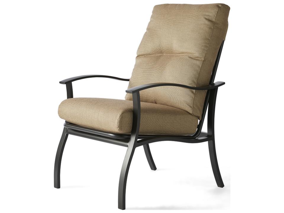 Albany Aluminum Cushion Dining Chair