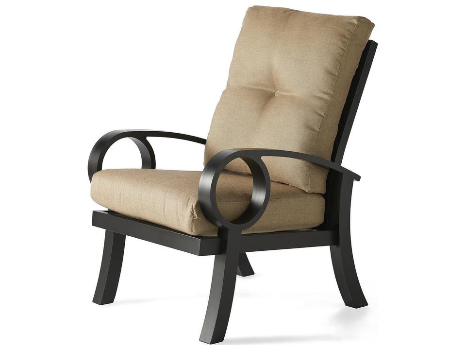Eclipse Cast Aluminum Cushion Dining Arm Chair