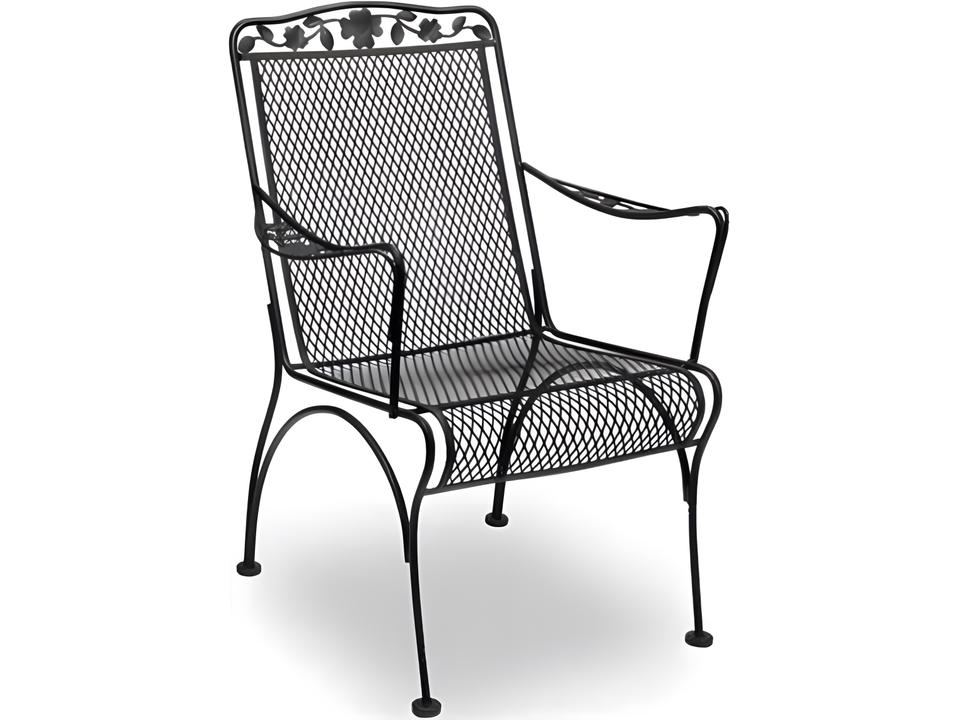 Dogwood Wrought Iron Outdoor Patio Dining Arm Chair