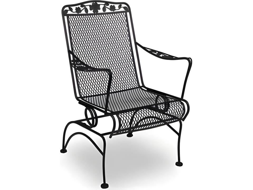 Dogwood Wrought Iron Coil Spring Patio Dining Arm Chair