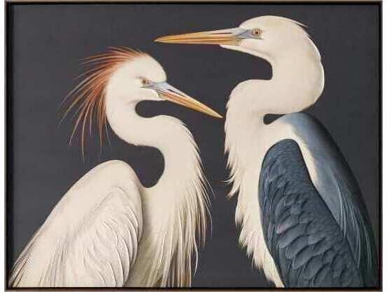 Two Cranes Framed Painting