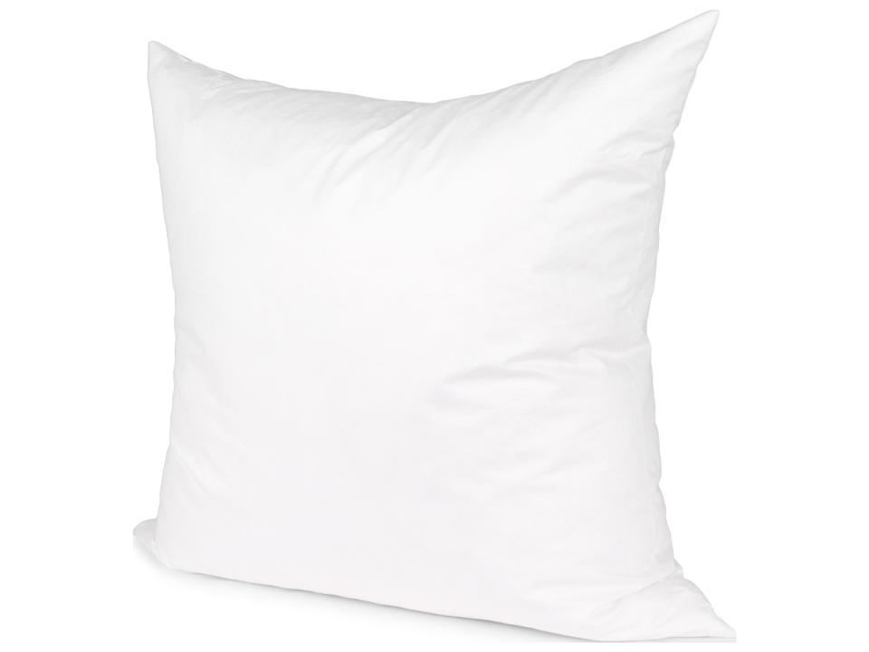 22 x 22 Inch Down Feather Blend Pillow Insert
