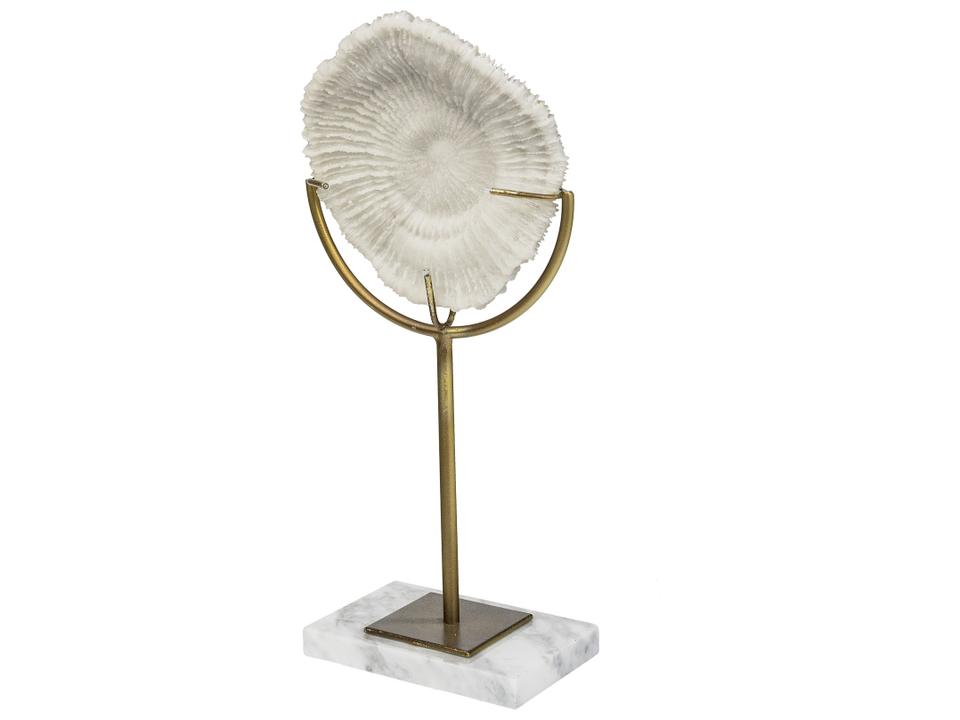 Sandy II (Medium) 6L x 3W White Coastal Sand Dollar Object