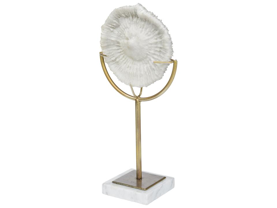 Sandy III (Large) 8L x 4W White Coastal Sand Dollar Object