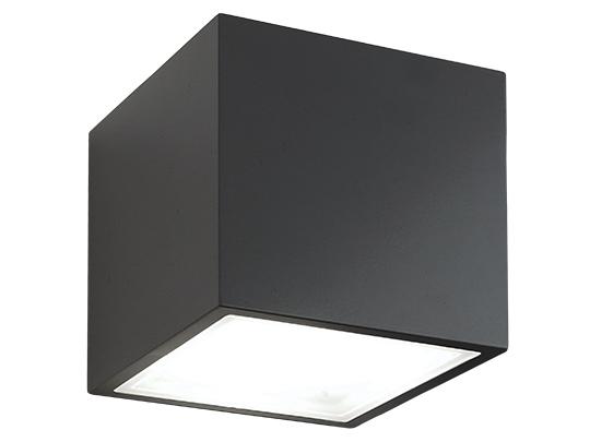 Bloc 2 - Light Outdoor Ceiling Light