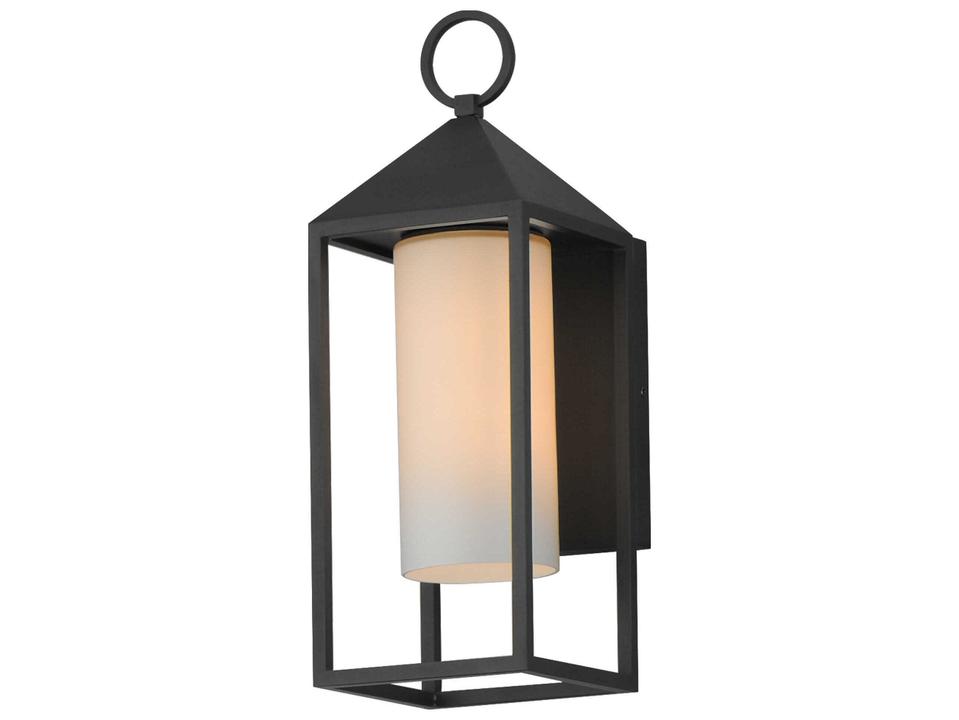 Aldous 1-Light Outdoor Wall Sconce in Black