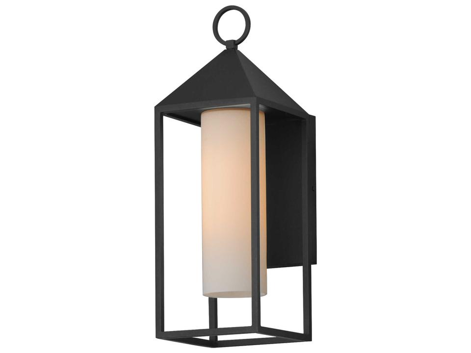 Aldous 1-Light Outdoor Wall Light in Black