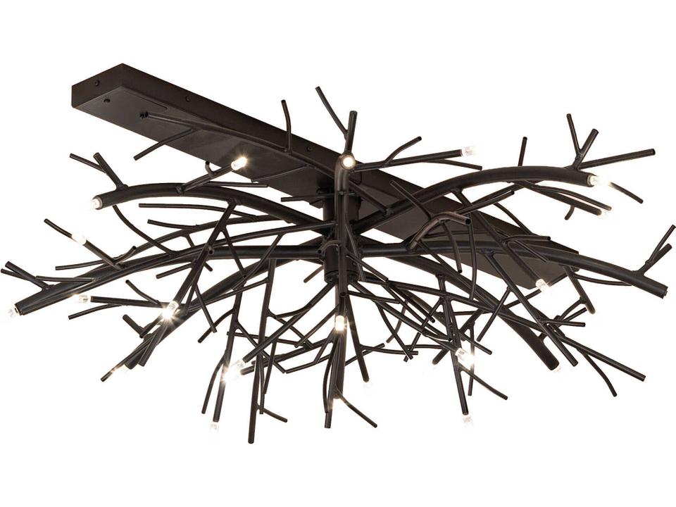Thicket 24-Light LED Outdoor Ceiling Light in Blackwash