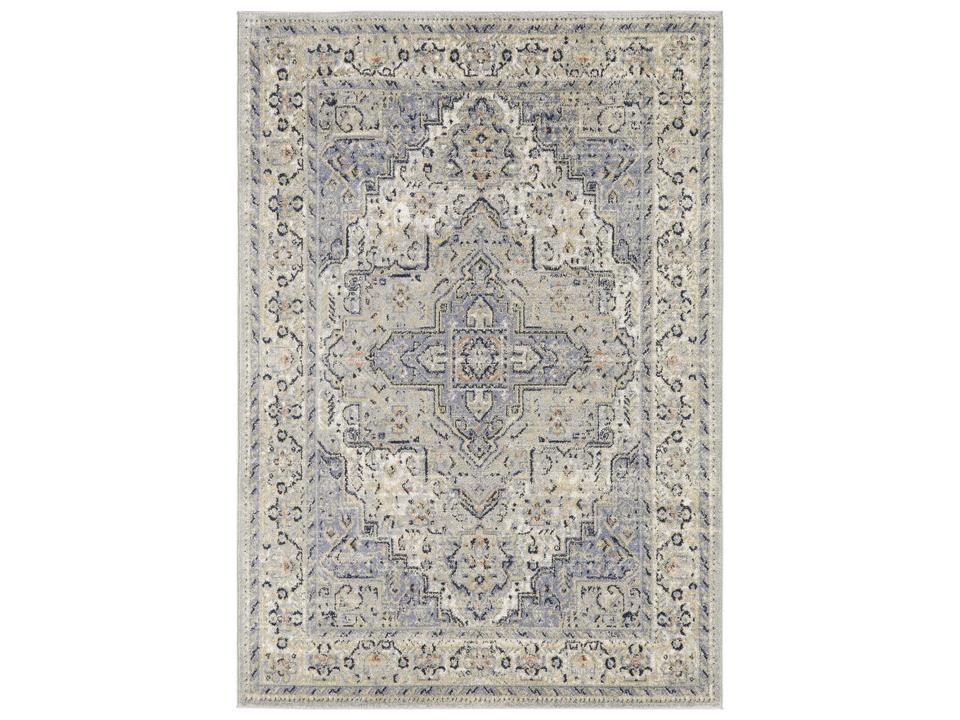 Essentials Persian Bordered Indoor Outdoor Area Rug in Blue