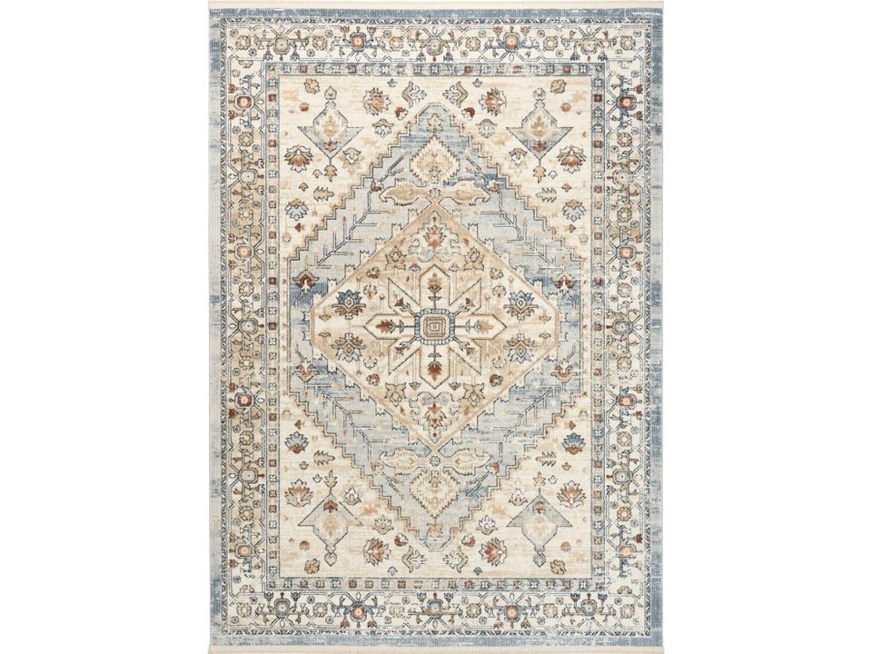Pardis Bordered Area Rug with Vintage-Inspired Design