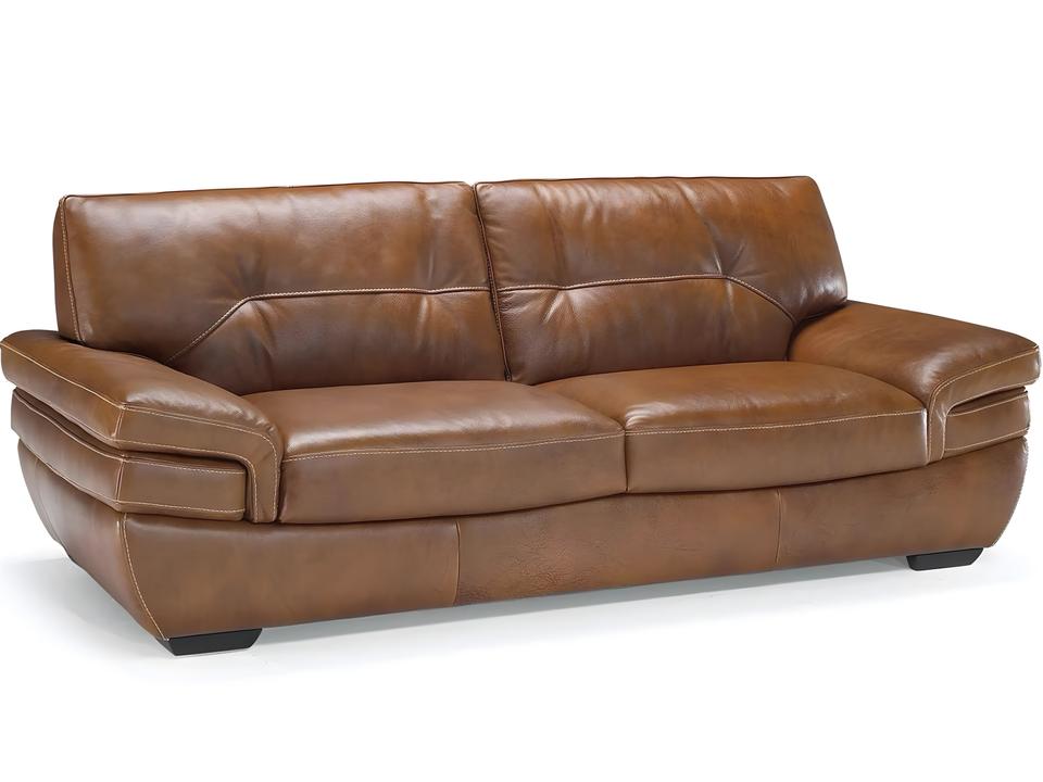 Biagio Leather Loveseat in Top Grain Upholstery