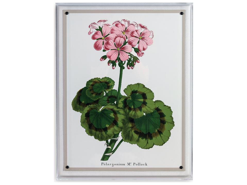 Geranium II Giclee Print Shadowbox Wall Art