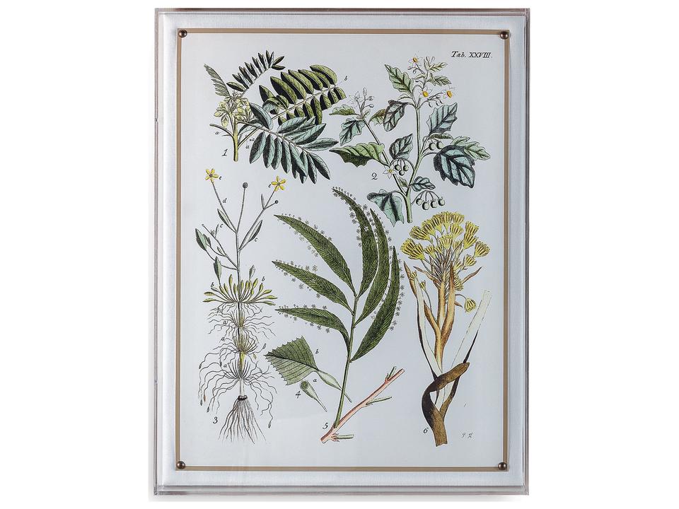 Ferns I Giclee Print Wall Decor with Nickel Nailhead Trim