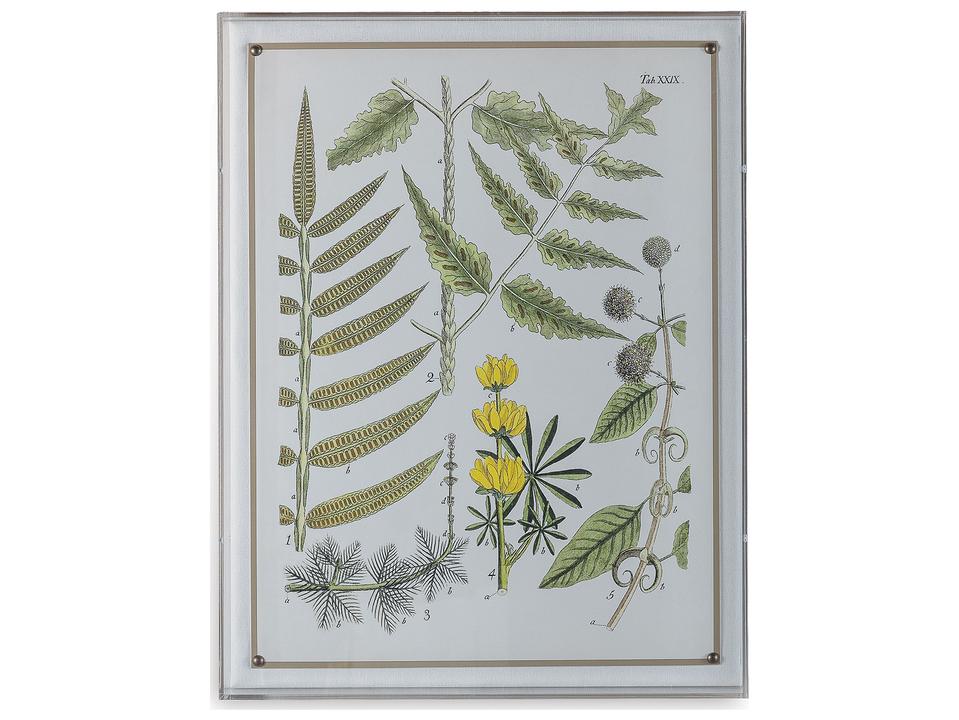 Ferns II Giclee Wall Art with Lucite Shadow Box and Nickel Nailheads