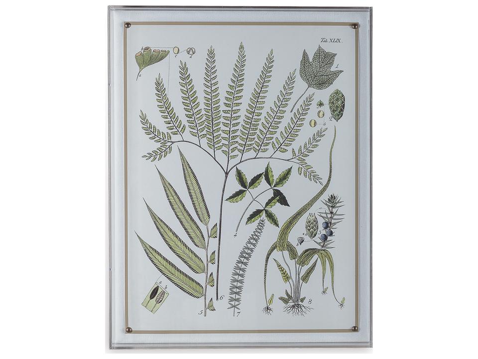 Ferns III Tropical Giclee Wall Art with Lucite Shadowbox