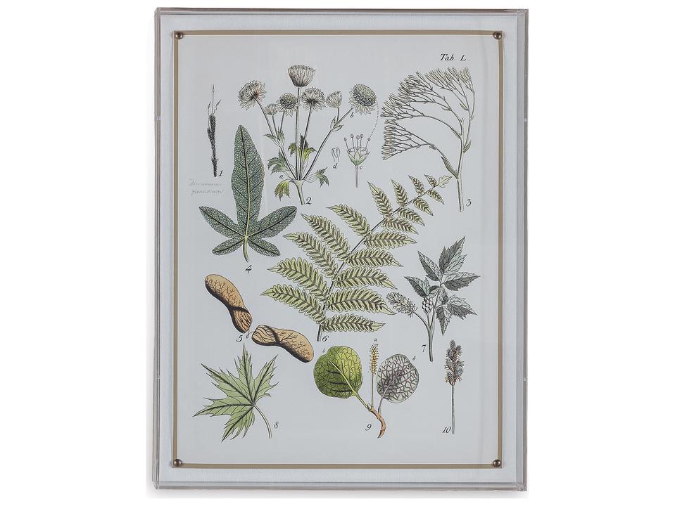 Ferns Vi Wall Art Shadow Box with Brass Nailheads