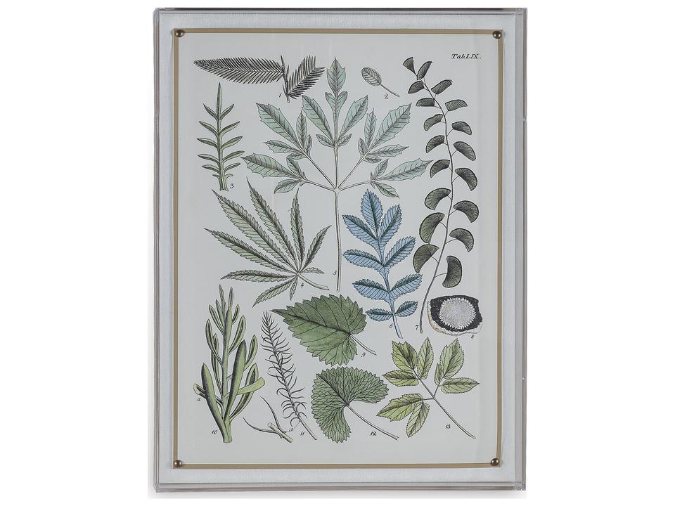 Ferns VII Botanical Giclee Print Wall Art with Nickel Nailhead Trim