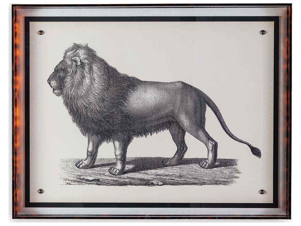 Lion Giclee Wall Art in Black and White with Acrylic Frame