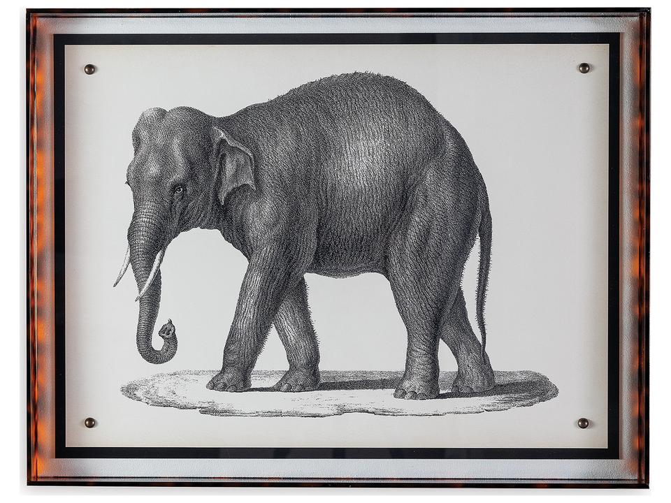Elephant Framed Giclee Wall Art in Acrylic Frame