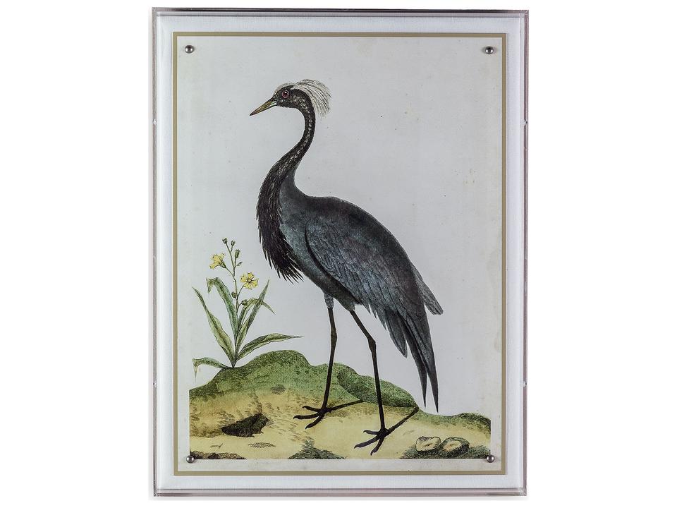 Heron II Giclee Print Wall Art with Lucite Shadow Box