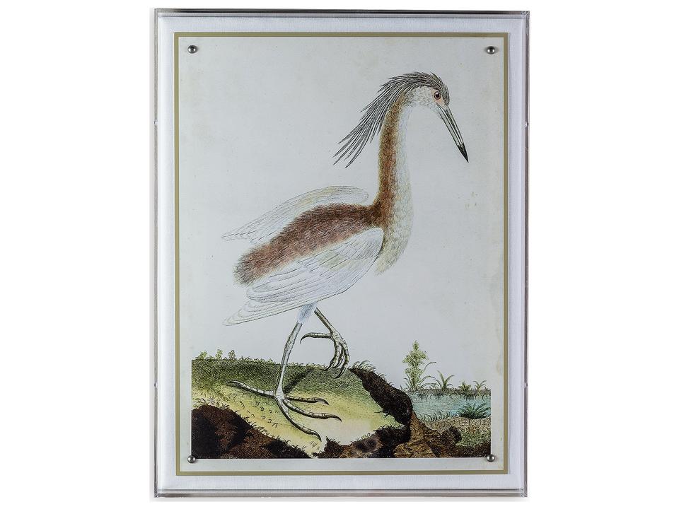 Heron III Giclee Print Wall Art in Lucite Shadow Box